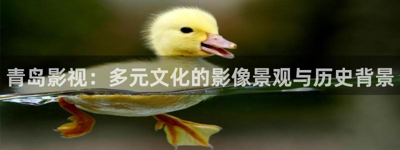 神马影院午夜手机不卡