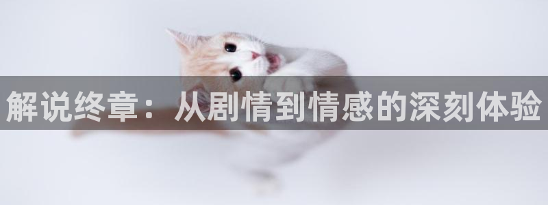 神马免费电影在线看