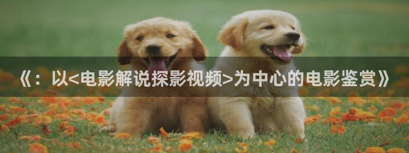 www,神马影院