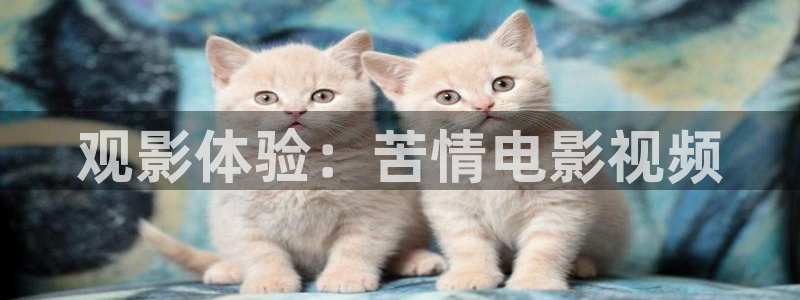 神马影院限制：观影体验：苦情电影视频