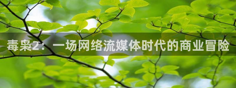 神马手机影院免费在线观看