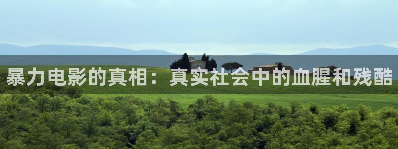 神马理论电影