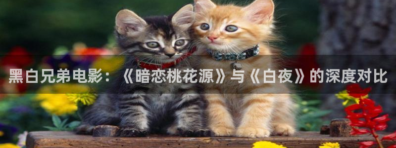神马电影中字