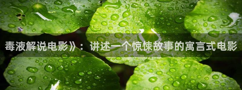 神马电影日本电影