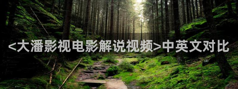 午夜神马影院网