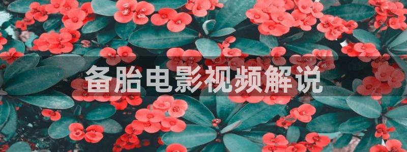 我不卡神马未来影院