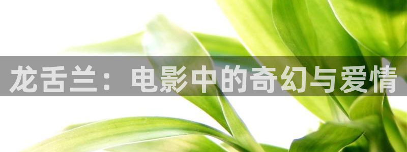 不卡影院神马电影网
