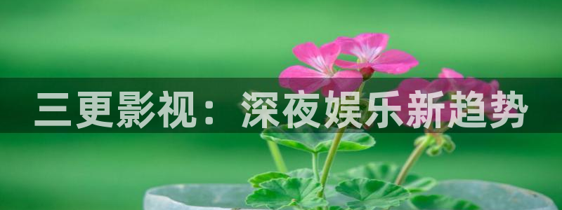 神马手机电影网午夜
