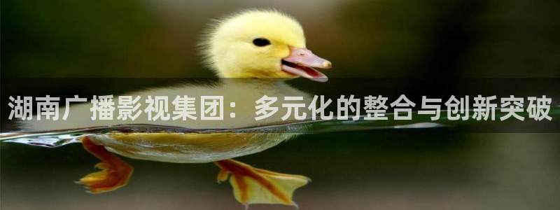 年轻的妈妈2神马影院