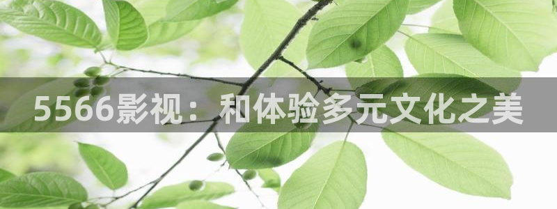 午夜伦理神马影院