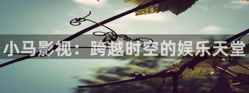诱惑神马影院