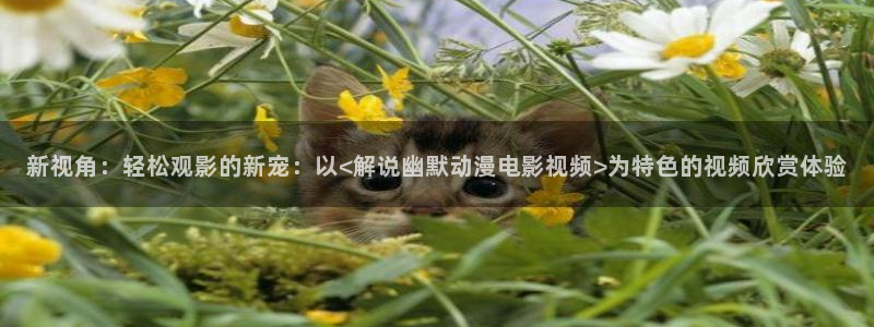 神马电影在线视频观看