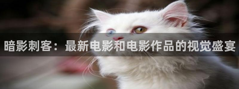 神马电影92电影网
