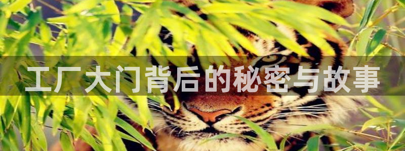 无敌神马琪琪观看影院在线