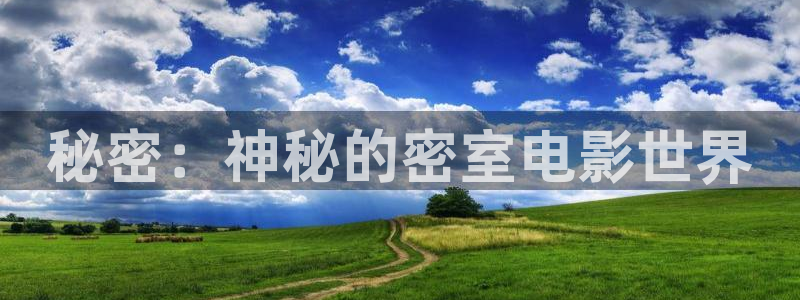 神马影院在线观看限制级