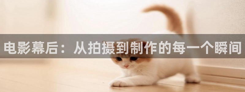 神马不卡在线观看