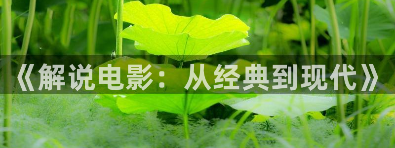 神马电影院老子午夜