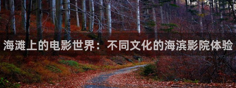 神马电影院6080在线观看