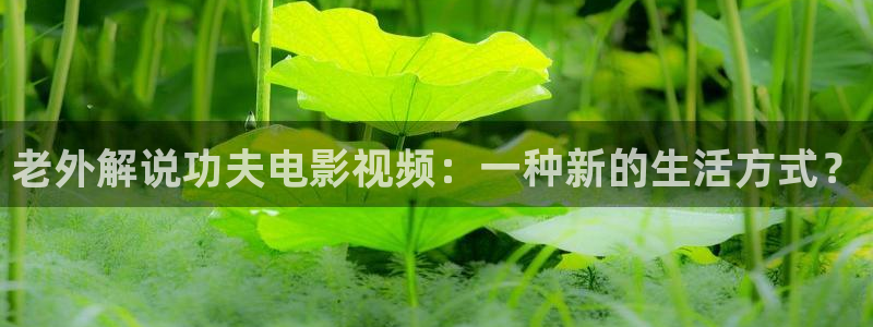 神马电影手机免费在线观看