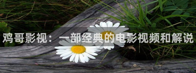 嘿嘿神马午夜影院