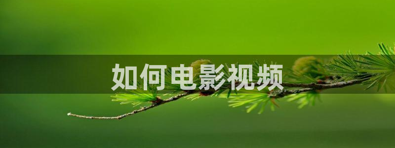 神马午夜不卡影视