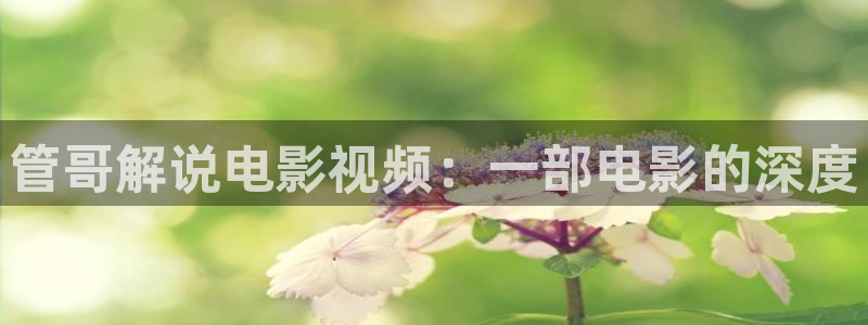 dy888神马我不卡