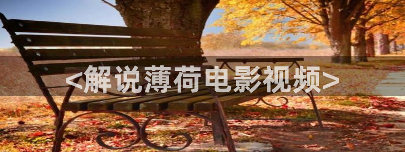 神马影院免费我不卡