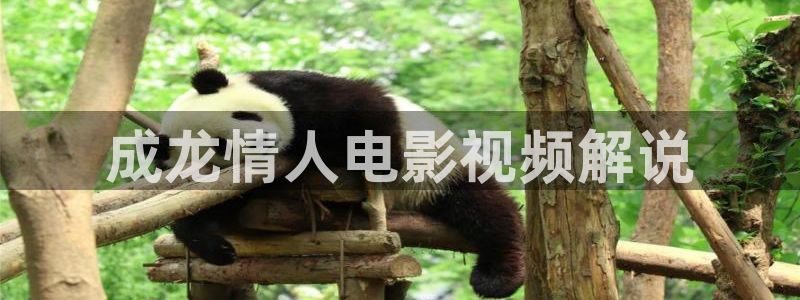 神马免费在线影院