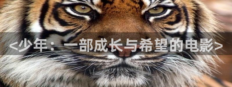 策驰神马