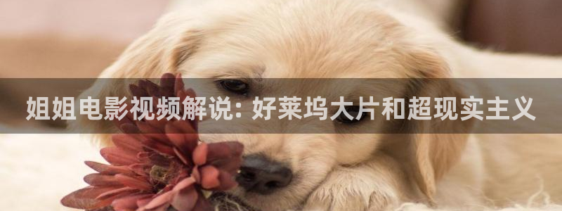 神马电影手机不卡网