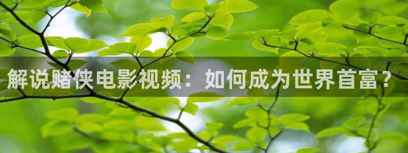 神马 电影 在线