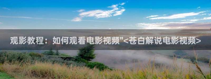 2828神马电影