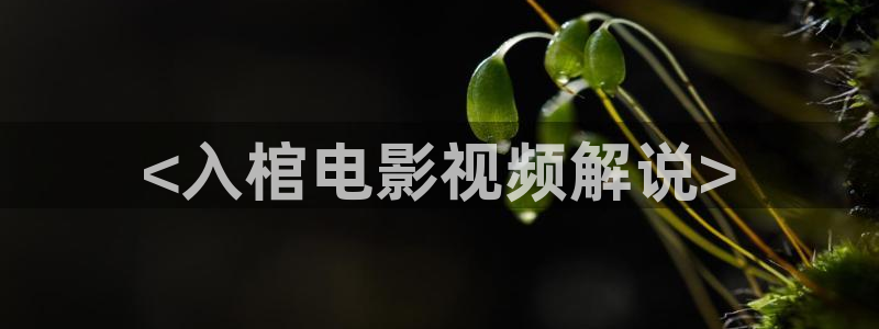 神马老子影院在线