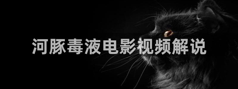 神马影院丝袜