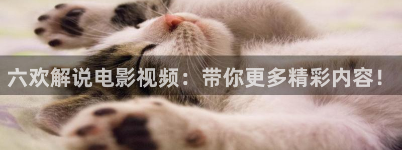 神马影院高清手机在线观看