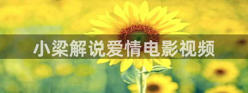 最新神马午夜电影网
