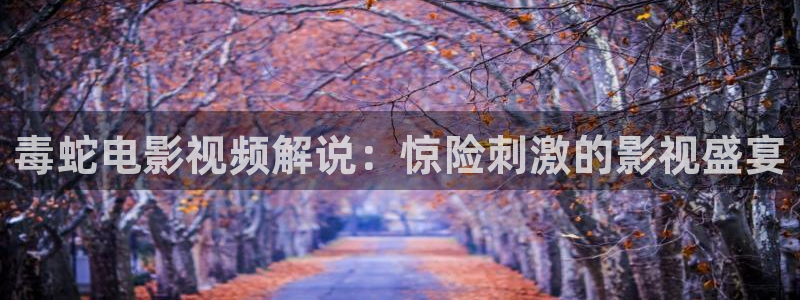 神马影院爽片：毒蛇电影视频解说：惊险刺激的影视盛宴