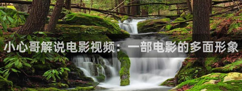 神马电影达达兔第五空间