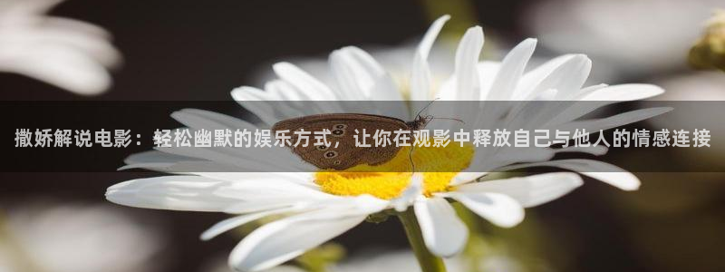 神马手机电影在线观看视频：撒娇解说电影：轻松幽默的娱乐方式，让你在观影中释放自己与他人的情感连接