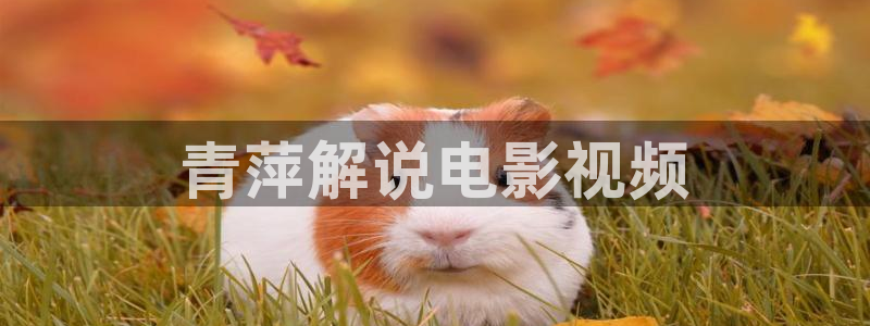 理论片在线观看神马影院