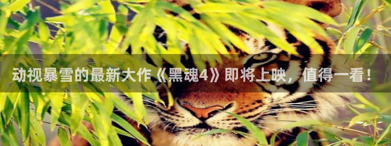 神马第九