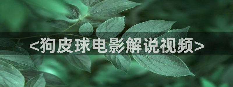 神马影院老子达达兔