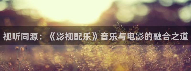 神马影视院线