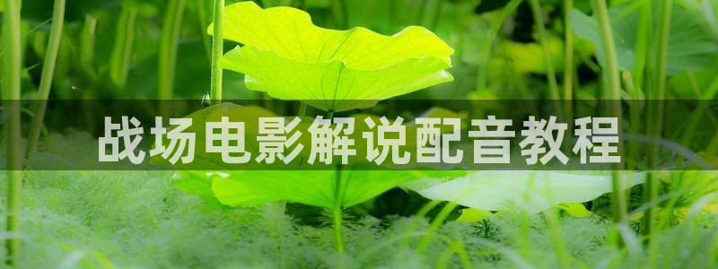 神马午夜在线电影