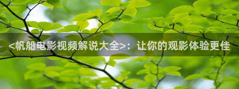 嫂子的职业神马影视
