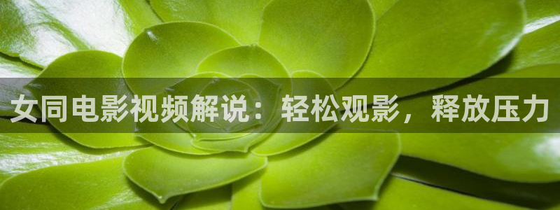 神马电影网午夜理论