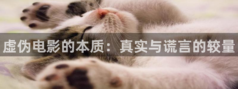 神马三级免费电影久久
