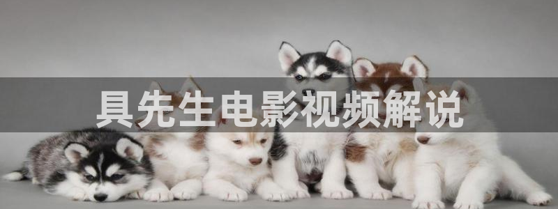 美景之屋 神马电影