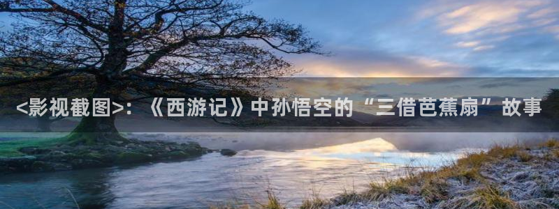 老师神马影院