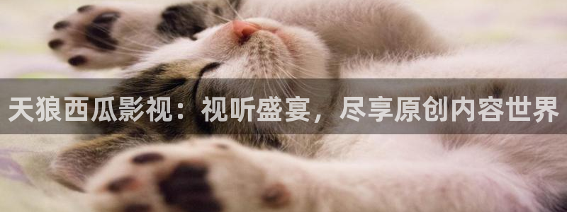 神马电影你懂得